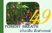 Forest Breath: ใน ดึกดำบรรพ์